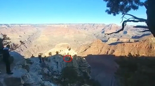 LA총영사관 "그랜드캐년 추락 사고, 항공사와 이송문제 협의"