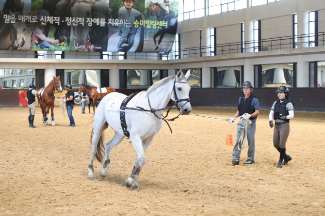 마사회, 말 조련사 교육생 10명 모집…말 산업체 취업지원