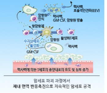 매출66억 vs.시가총액 5조...신라젠 거품논란 오해와 진실