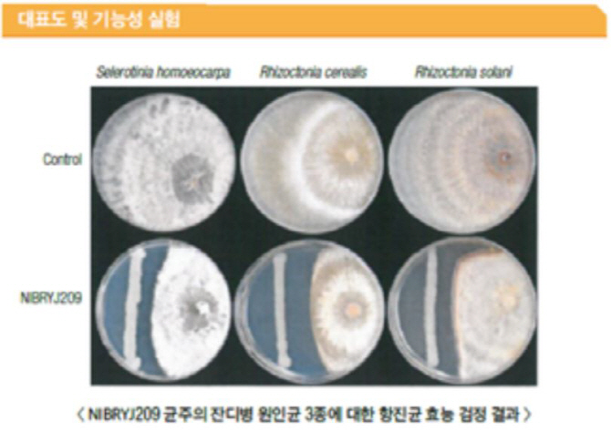 정부, 바이오산업 육성 나선다…올해 생물자원특허 20건 무상 기술이전 추진