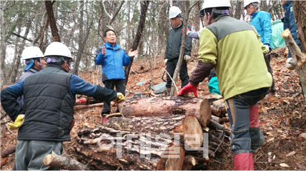 퇴직공무원 활용 산림병해충 방제컨설팅, 올해도 추진