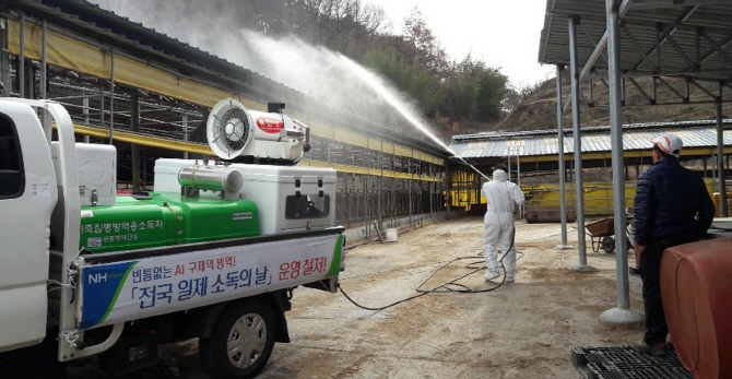 농식품부 “구제역 백신접종 중 소 폐사·유산 땐 보상”