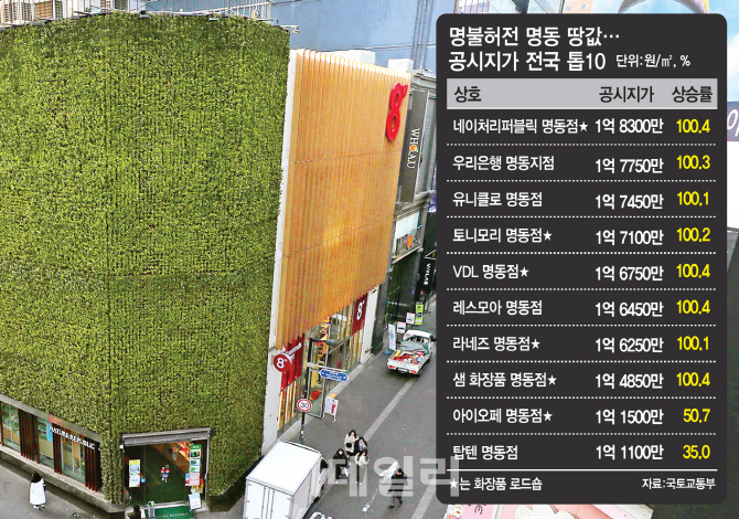 '고가토지' 밀집한 명동·강남 상권…보유세 50% 커진다