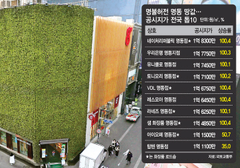 '고가토지' 밀집한 명동·강남 상권…보유세 50% 커진다