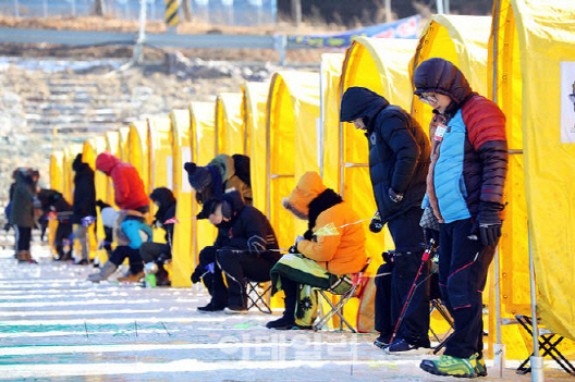 낚시인 770만, 한해 20만톤 낚아…"마릿수 제한·상업판매 금지해야"