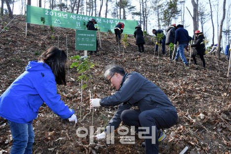 산림청, 전남 고흥서 올해 첫 나무심기 행사
