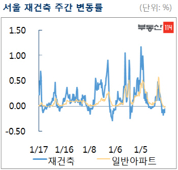 입주권 거래재개 앞둔 개포주공1…서울 재건축 아파트값 하락