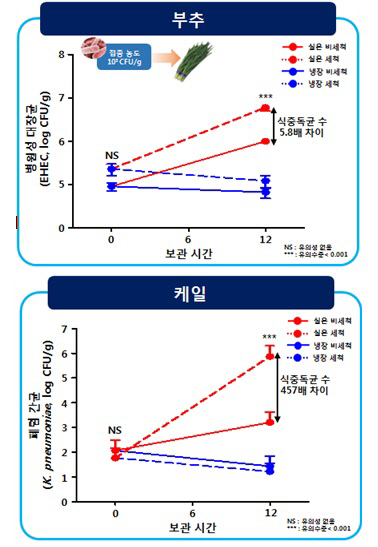 식약처 “씻은 채소, 반드시 냉장보관 해야”