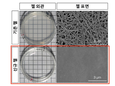 뇌연구원, 인간 iPS 이용 대뇌피질 신경세포 생산기술 개발