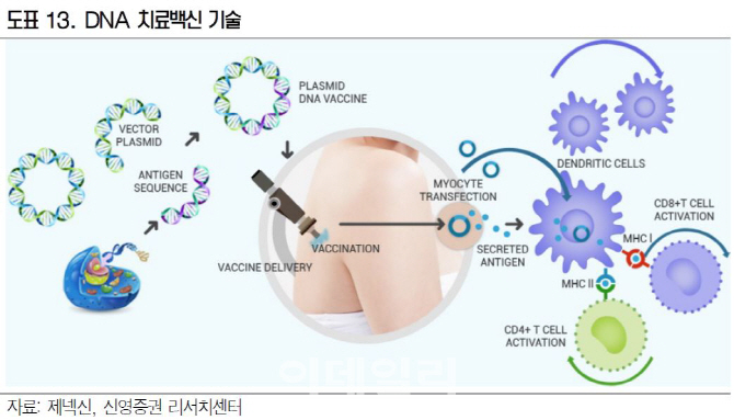 제넥신, 유전자 치료백신 기술 성장성에 주목..'매수'-신영