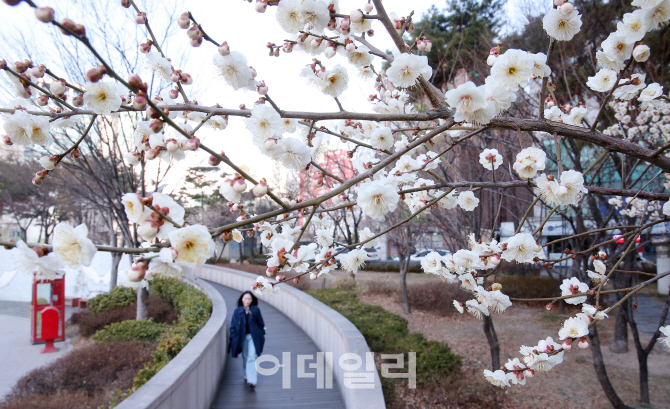 [포토]'봄이 왔나 봄'