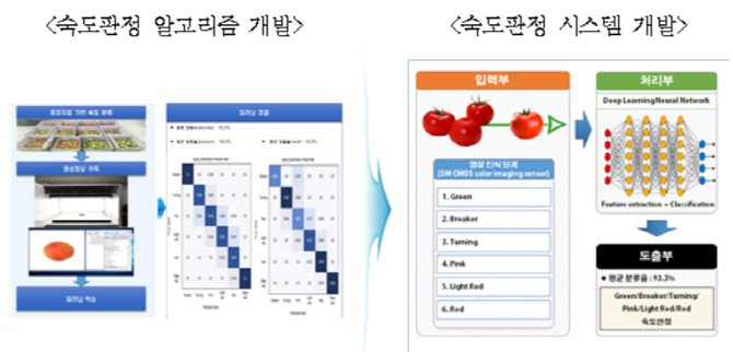 "AI로 토마토 얼마나 익었는지 확인하세요"