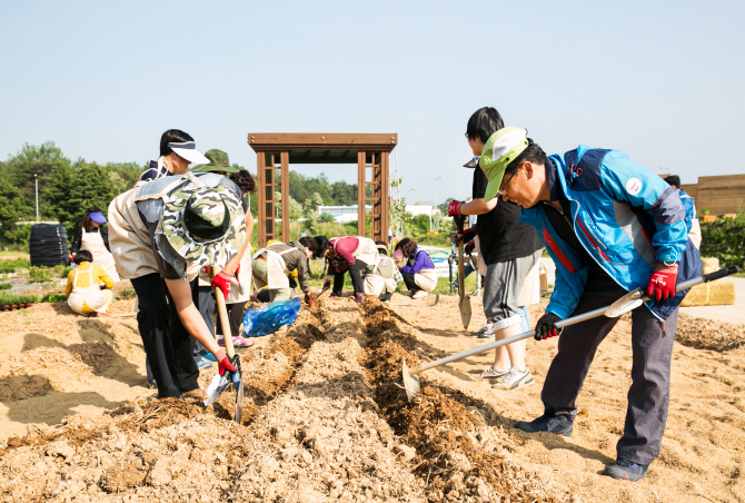 농진청 “도시텃밭 가꾸려면 3월 초부터 땅 다져주세요”