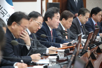 이낙연 총리 "택시-카풀 사회적대타협, 대승적으로 수용해야"
