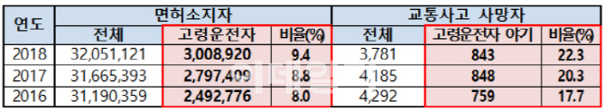 "교통사망사고 절반은 65세 이상"…경찰, 고령자 교통안전 대책 추진