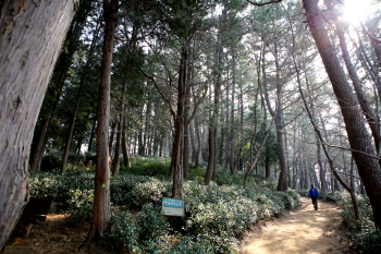 [여행] ‘山·水·花’, 한 도시에 세 도시의 매력을 품다