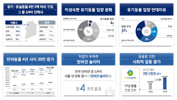 서울시, 동물등록 내장형칩·유기견 입양시 동물보험 지원