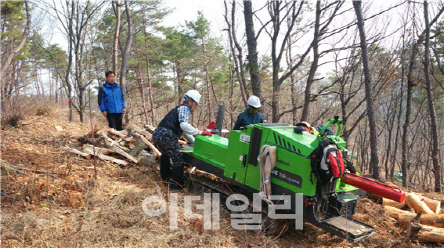 '산림병해충 방제' 퇴직공무원들 노하우로 해결한다