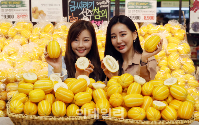 [포토]롯데마트, 올해 첫 수확 성주참외 판매