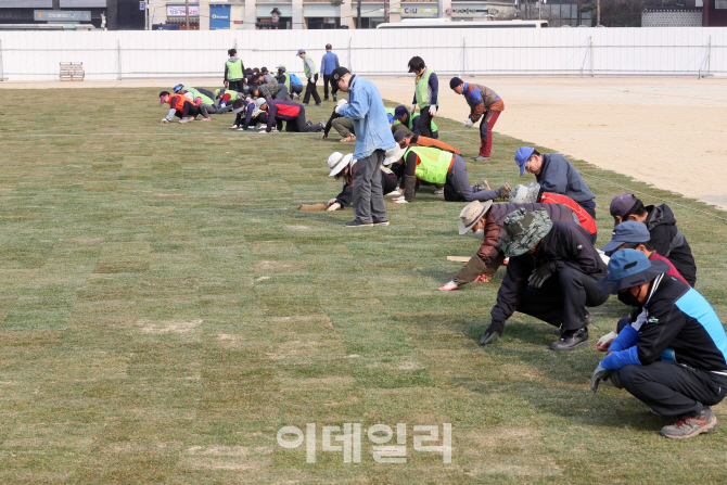 [포토]'서울광장에 봄기운을 전하다'