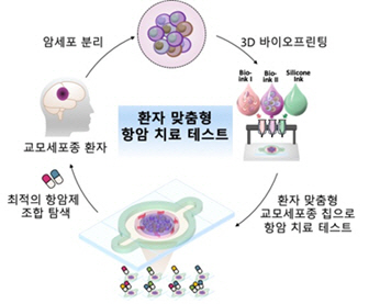 난치성 뇌암, 3D 세포 프린팅 기술로 치료에 한 걸음 다가서