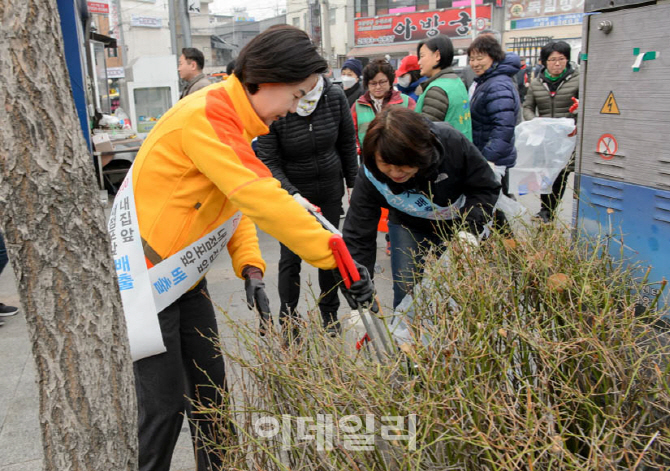 [포토] 양천구 봄맞이 대청소