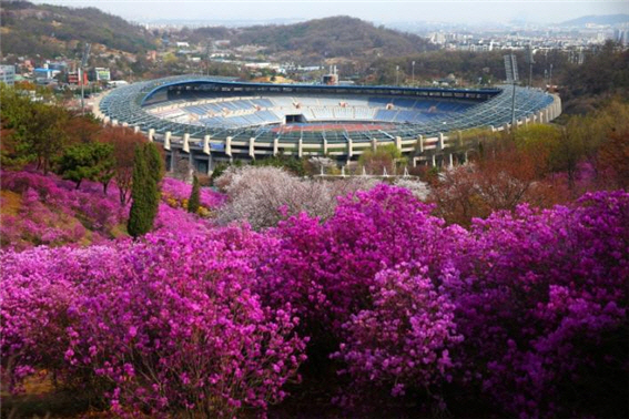 "전철 타고 봄 즐기세요" 코레일 '봄맞이길 10선'