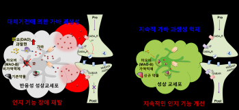 KIST, 기존 치매 치료제 한계 극복 가능한 신약 후보 약물 개발