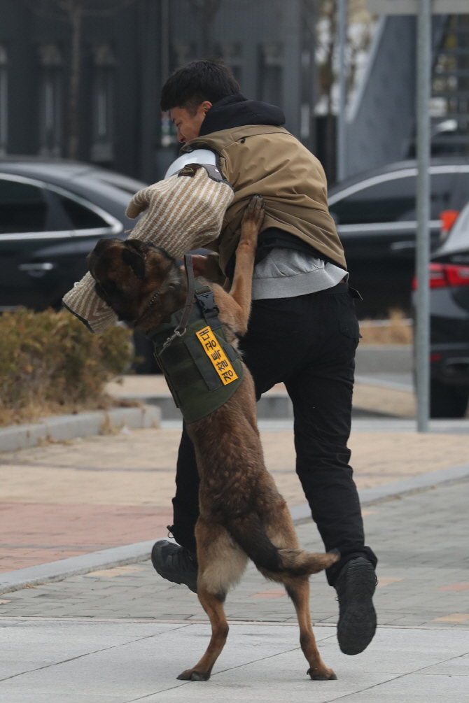 [포토] 테러범 제압하는 공격견