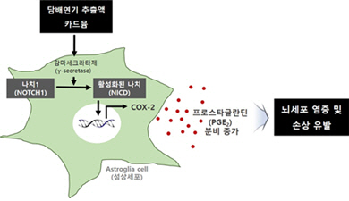 담배연기 등 뇌혈관질환 악화 영향