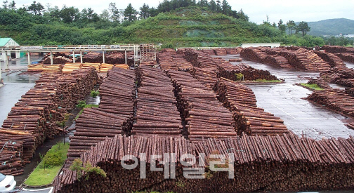 올해 387개 경제림육성단지서 국내목재 567만㎥ 생산