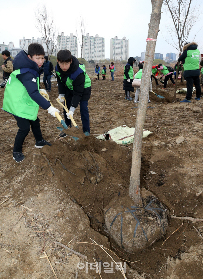 [포토]나무 심는 형제