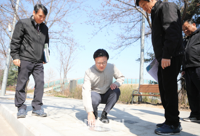 [포토]여의도 봄꽃축제 점검하는 채현일 영등포구청장