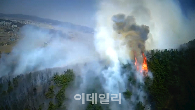 (영상)정부, 화마에 빠진 강원도에 국가재난사태 선포