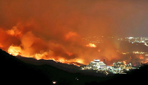 [강원산불]태풍급 바람이 피해 키웠다…산림 525㏊ 소실