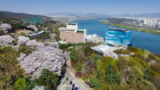 이번 주말 벚꽃 만개…특급호텔서 꽃구경 즐겨볼까