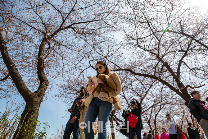[포토]화창한 주말