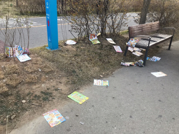 '벚꽃 대신 쓰레기 구경만'…전단지에 멍드는 한강공원