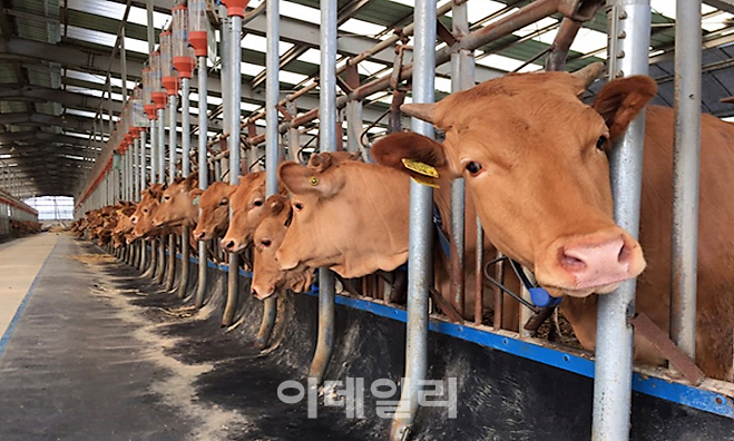 한국산 가축용 보조사료 中수출길 5년만에 '활짝'