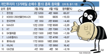 [코스피 최장 랠리]인버스ETF·5G株 베팅한 개미는 울고