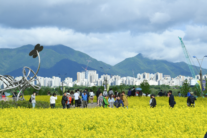 '구리 유채꽃 축제' 시민 중심 명품 축제로 거듭난다