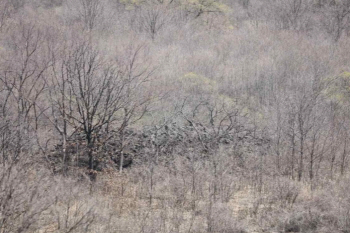 비무장지대서 중어성 추정 축석 확인.. 문화재 조사 성과