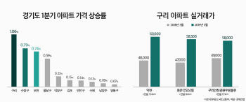 ‘8호선 연장의 힘’ 구리시 내 아파트, 1년새 1억 껑충