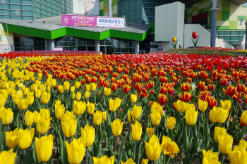 국가대표 꽃 축제 '2019 고양국제꽃박람회' 26일 막 올라