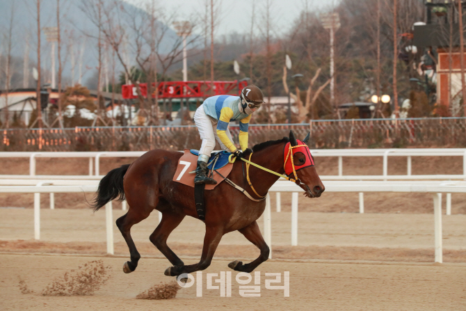 한국경마 상위 1%, 올해 '영예의 전당' 주인공은?