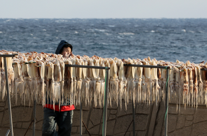 3월 어획량 작년보다 줄어…고등어·갈치↓ 오징어·삼치↑