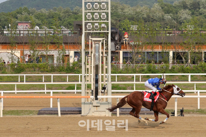 '코리안더비' 국산 최강 3세마 가린다