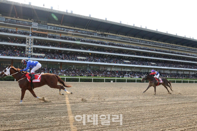 외국인 아나운서 영입, 한국 경마 국제화 '잰걸음'