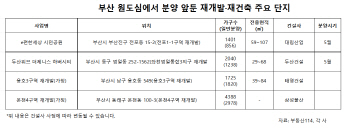 부산 분양시장 여전히 ‘호조세’....연내 정비물량 ‘봇물’