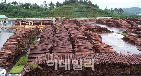 산림청·관세청, 연말까지 불법·불량 목재제품 합동단속